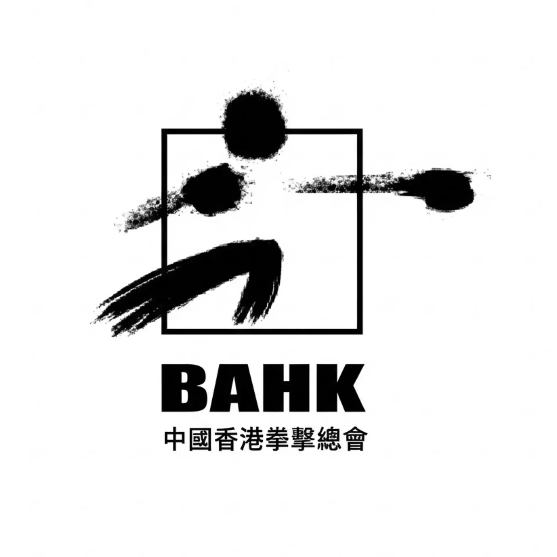 嘉華教練與中國香港爛擊總會合作舉辦拳擊訓練