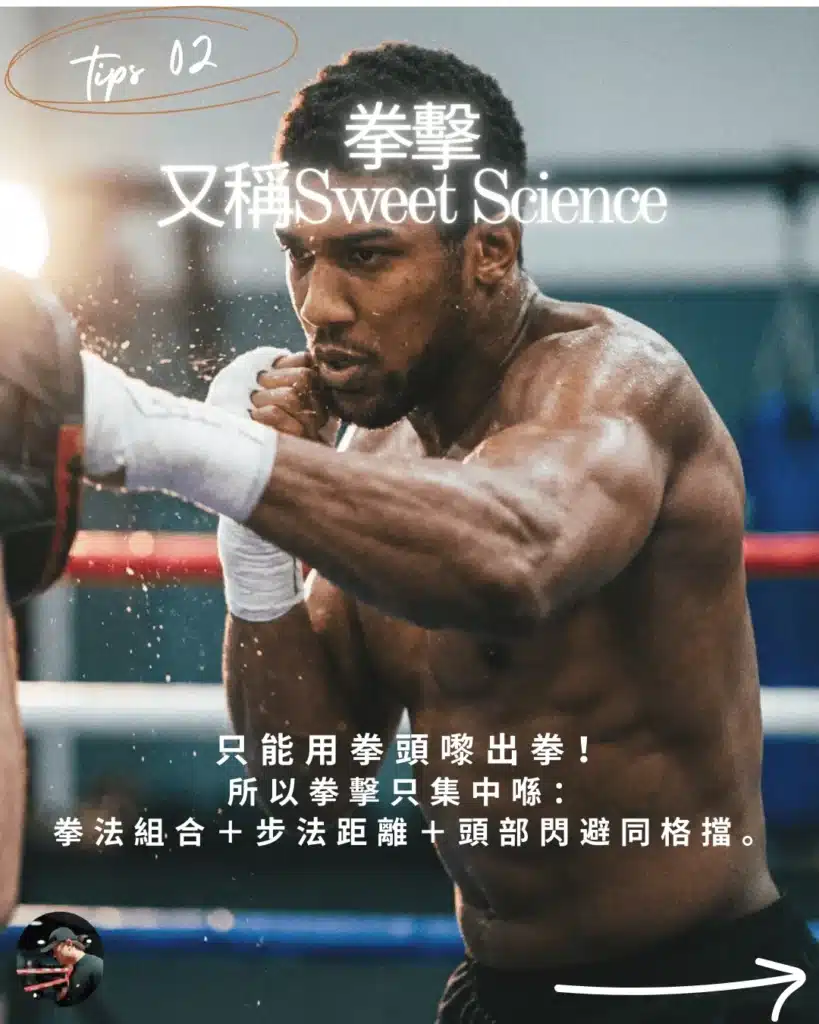 拳擊 (Boxing) 被稱為 Sweet Science，只用拳頭攻擊，訓練集中於拳法組合、步法移動與頭部閃避。適合想集中練拳及消脂減肥的初學者。圖解拳擊泰拳分別
